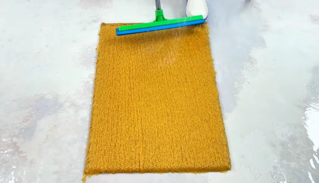 Area rug freshly cleaned during a carpet cleaning Eagle Point, OR service