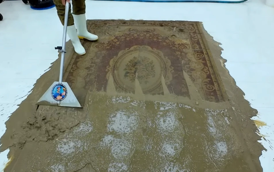 Carpet before professional cleaning in Medford, OR, showing dulled, soiled fibers