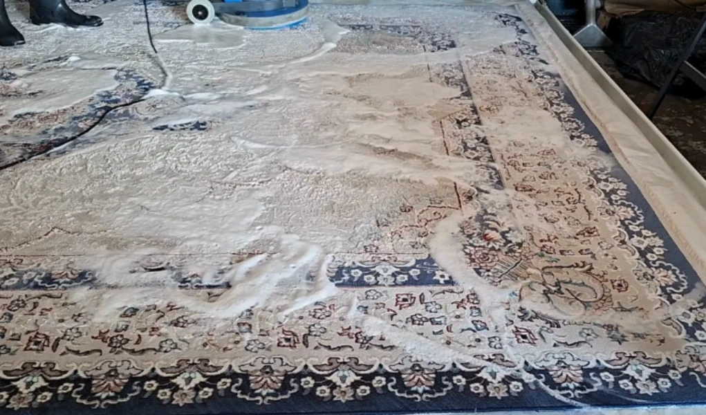 PureNest technician actively cleaning carpet during hot water extraction in Medford, OR