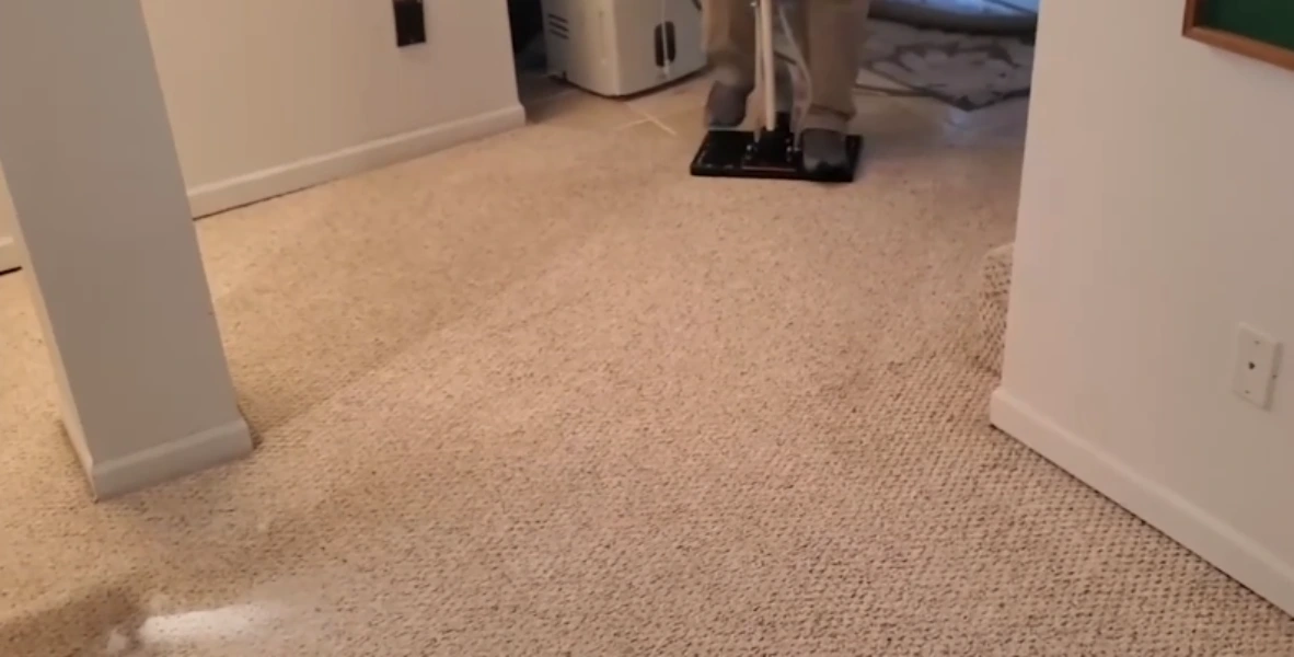 Carpet after pet odor and stain treatment in Medford, OR, stain and odor fully removed