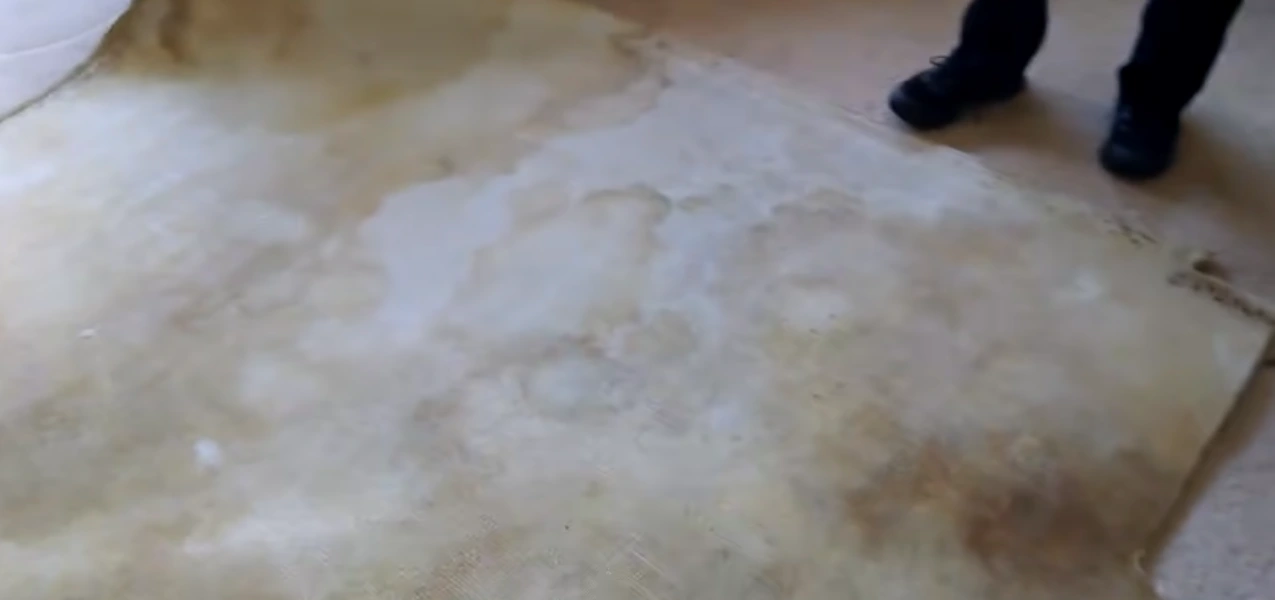 Pet odor removal carpet Medford, OR — before treatment, showing visible pet staining